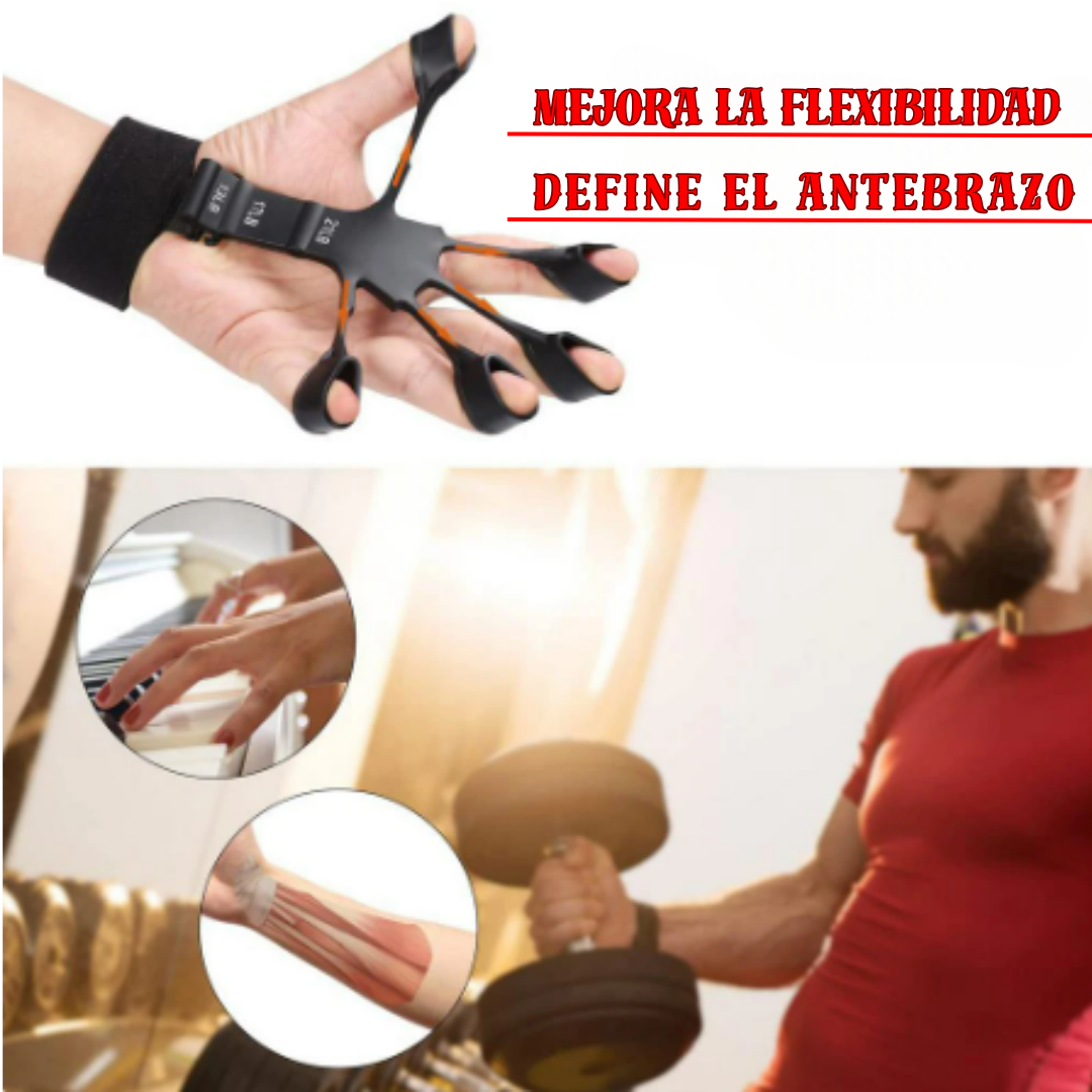 FlexPower|™ Kit Bandas Elásticas + Ejercitador de  Brazo