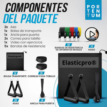 FlexPower|™ Kit Bandas Elásticas + Ejercitador de  Brazo